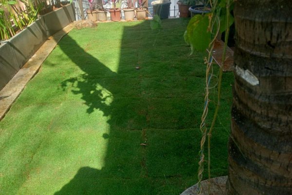 Lawn Installation Service in Bengaluru